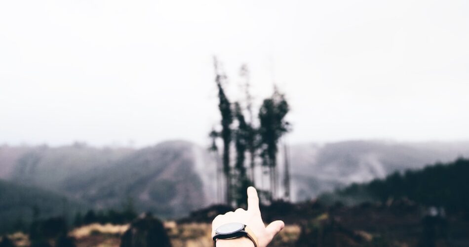 person's left hand pointing to castle