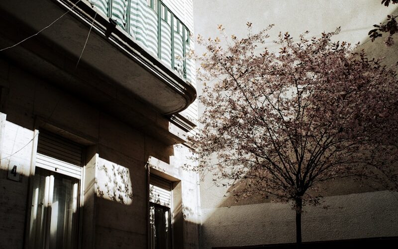 a tall building with a tree in front of it